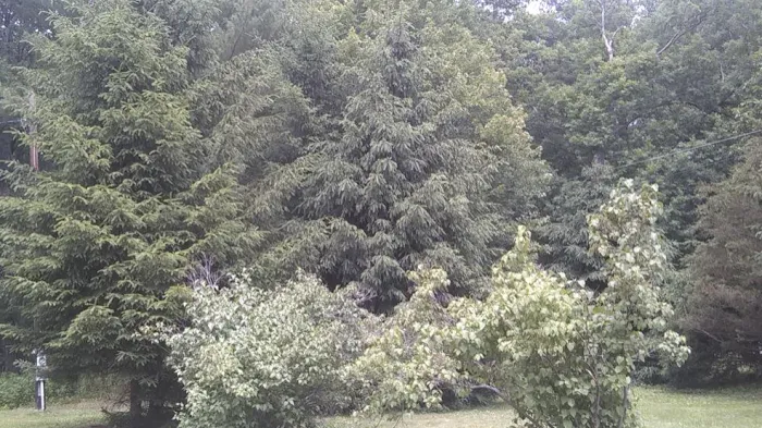 Brookside Mobile Home Park Picture 8