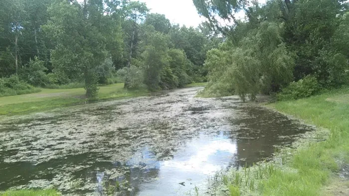 Brookside Mobile Home Park Picture 10