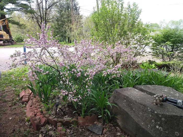 Brookside Mobile Home Park Picture 5