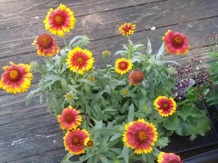 Brookside Mobile Home Park Picture 3