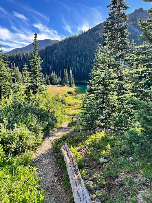 Moose Lake Lower Picture 8