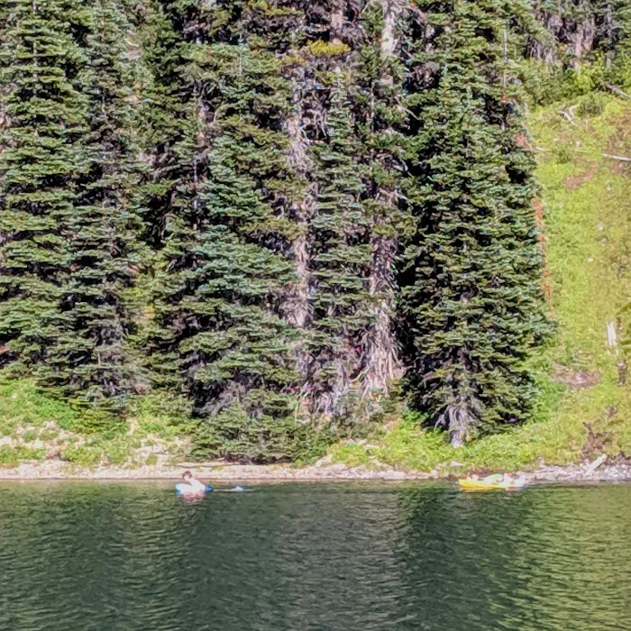 Moose Lake Lower Picture 9