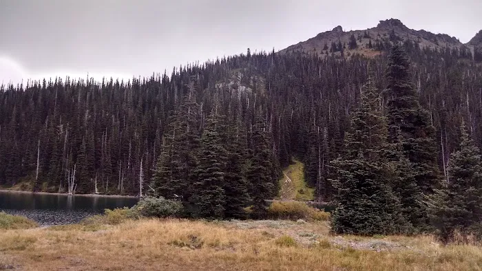 Moose Lake Lower Picture 3