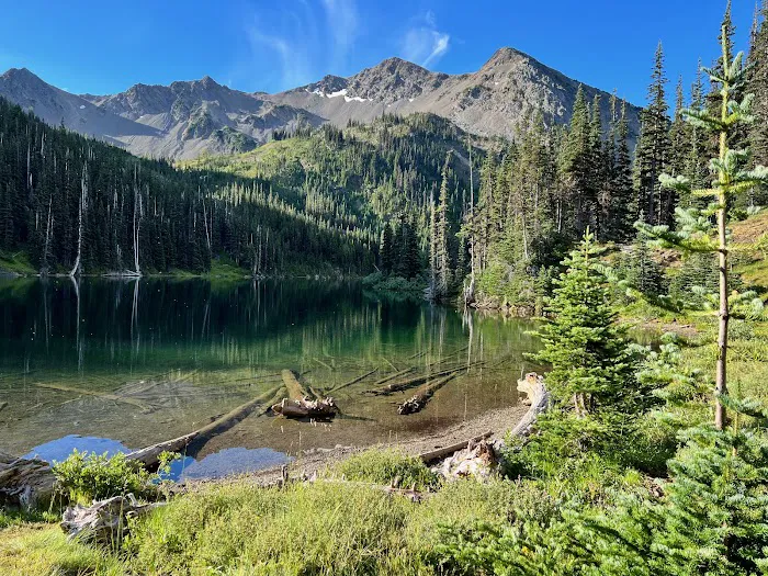 Moose Lake Lower Picture 4