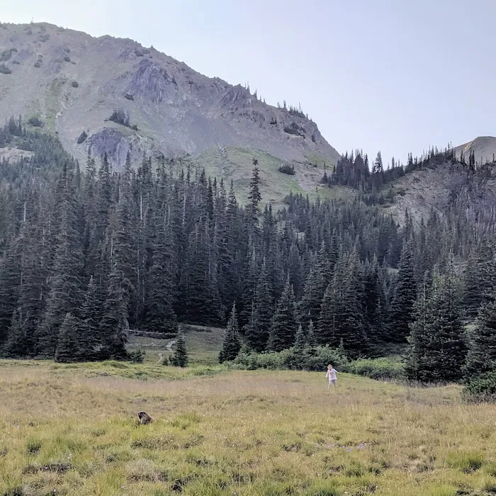 Moose Lake Lower Picture 7