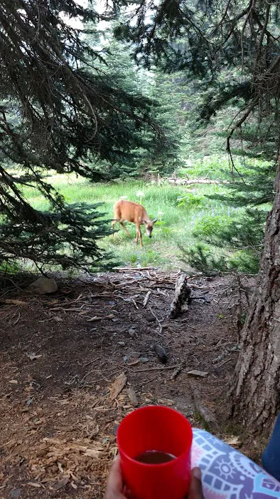 Grand Lake Picture 8