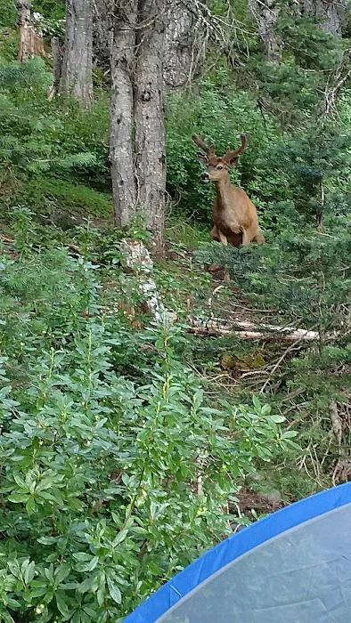 Grand Lake Picture 6