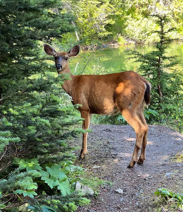 Grand Lake Picture 3