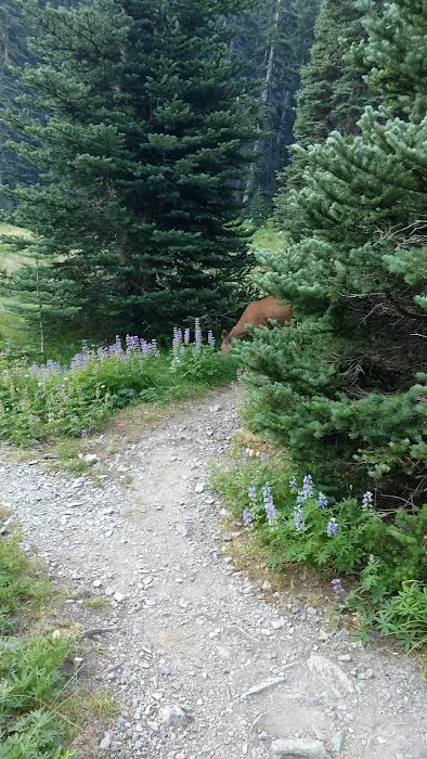 Grand Lake Picture 10