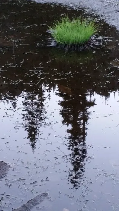 Gladys Lake Picture 1