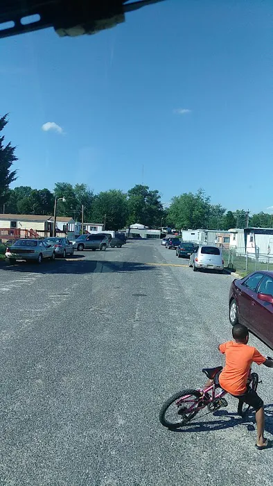 Tips Trailer Park Picture 8
