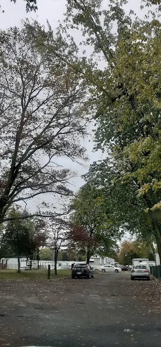 Tips Trailer Park Picture 10