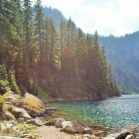 Marmot Lake ico
