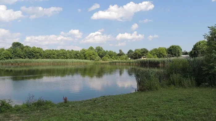 Waterford Estates Picture 6