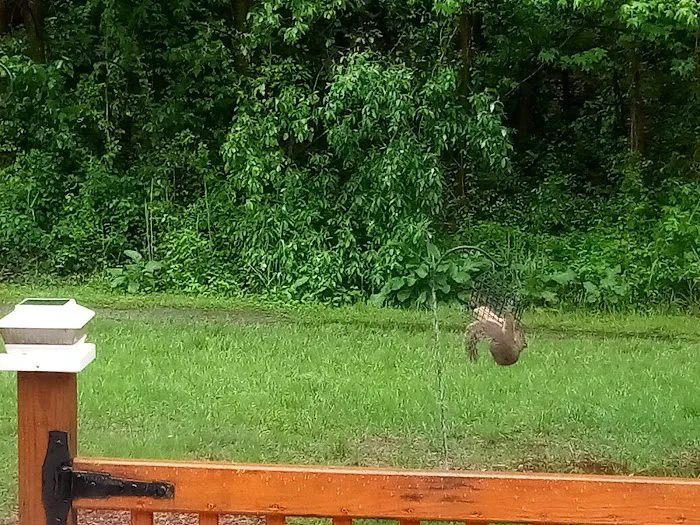 Waterford Estates Picture 2