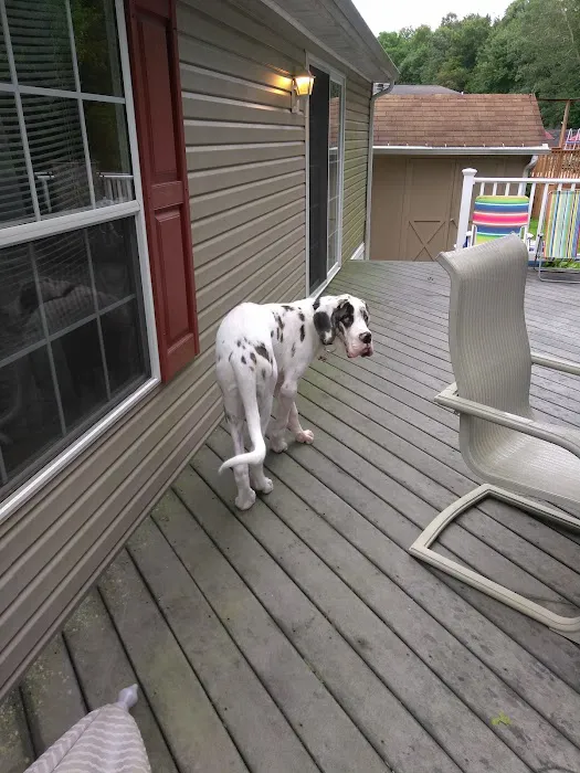 Hunters Run Picture 8