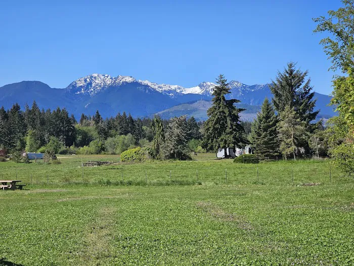 Salish Trails RV & Campground Park Picture 5