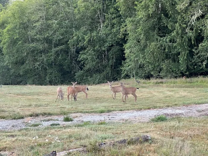 Frog Creek Meadow Picture 2