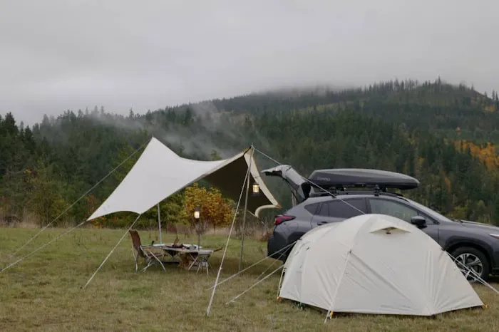 Frog Creek Meadow Picture 4