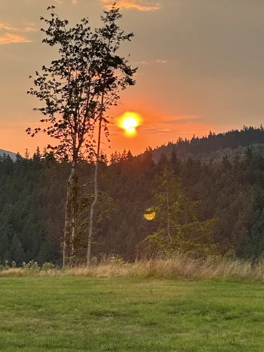 Frog Creek Meadow Picture 9