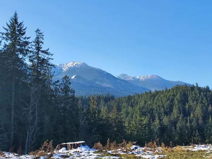 Frog Creek Meadow Picture 5