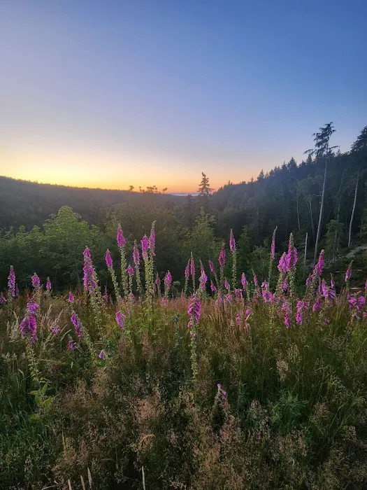Frog Creek Meadow Picture 3
