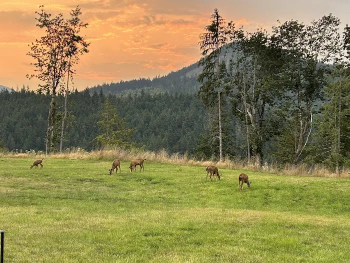 Frog Creek Meadow Picture 8