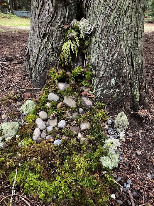 Hipcamp: “ 7 Acres Of Heaven “ Picture 3