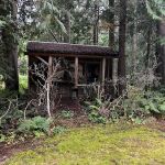 Hipcamp: “ 7 Acres Of Heaven “