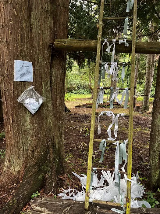 Hipcamp: “ 7 Acres Of Heaven “ Picture 8