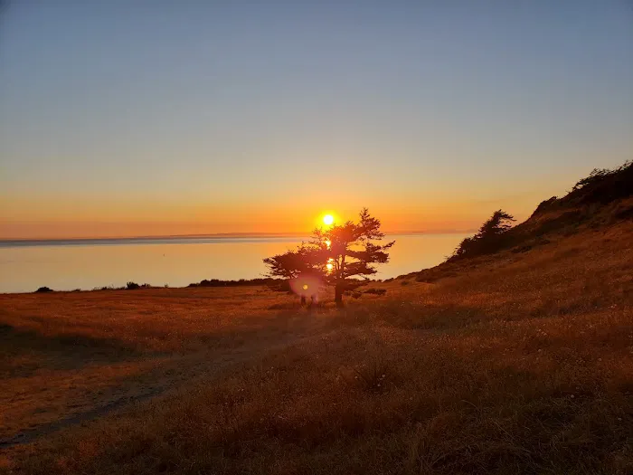 Fort Ebey State Park Campground Picture 2