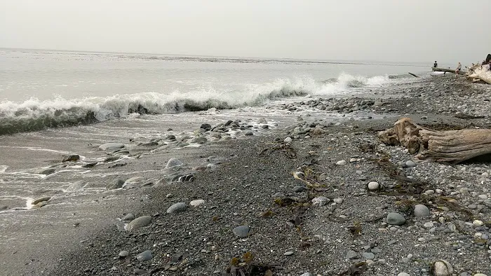 Fort Ebey State Park Campground Picture 4