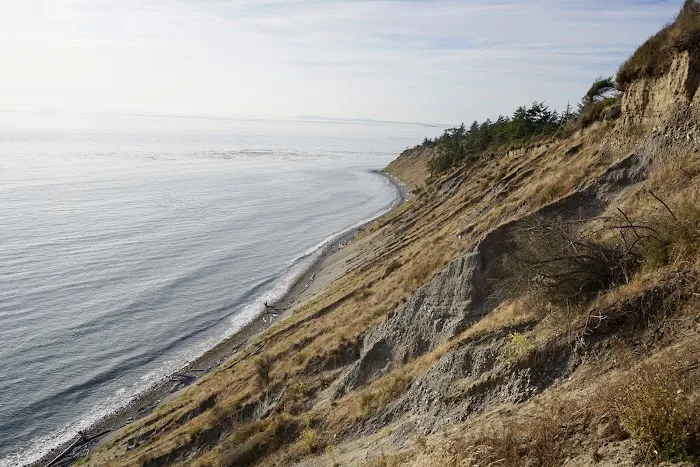 Fort Ebey State Park Campground Picture 3