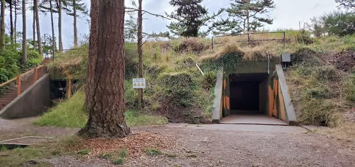 Fort Ebey State Park Campground Picture 5