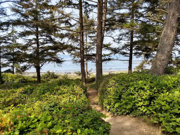 Fort Ebey State Park Campground Picture 6