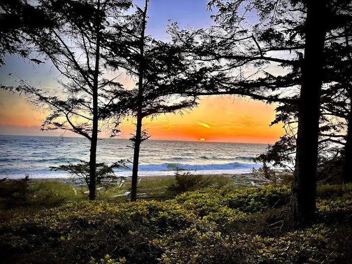 Fort Ebey State Park Campground Picture 8
