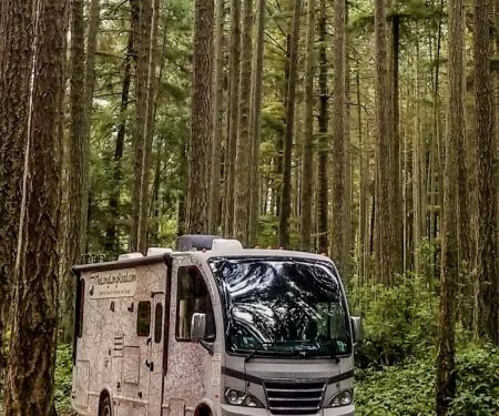 Rhododendron Campground