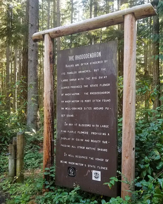 Rhododendron Campground Picture 3