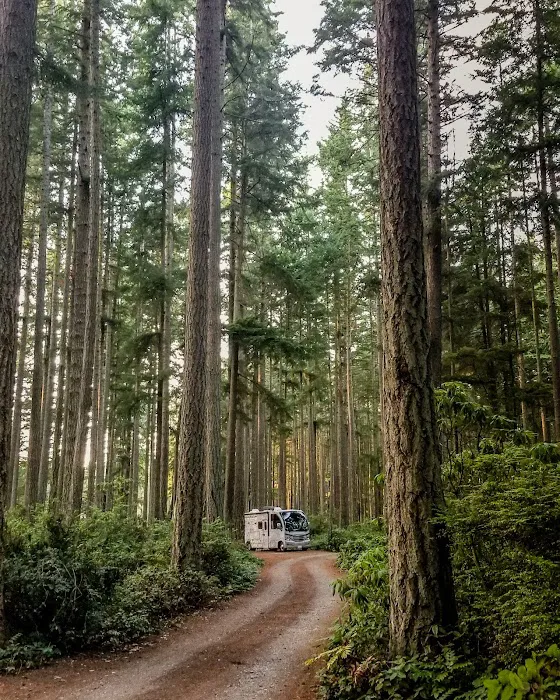 Rhododendron Campground Picture 2