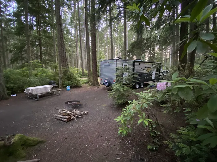 Rhododendron Campground Picture 8
