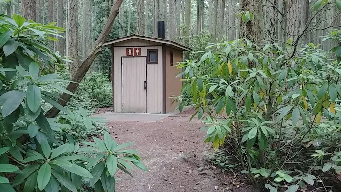 Rhododendron Campground Picture 10