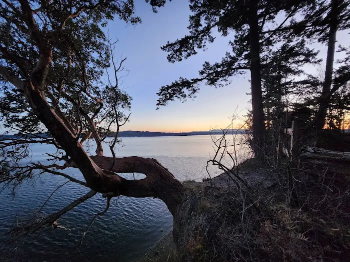 Camano Island State Park Marine Trail Campground Picture 4