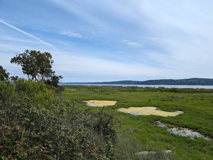 Camano Island State Park Marine Trail Campground Picture 3