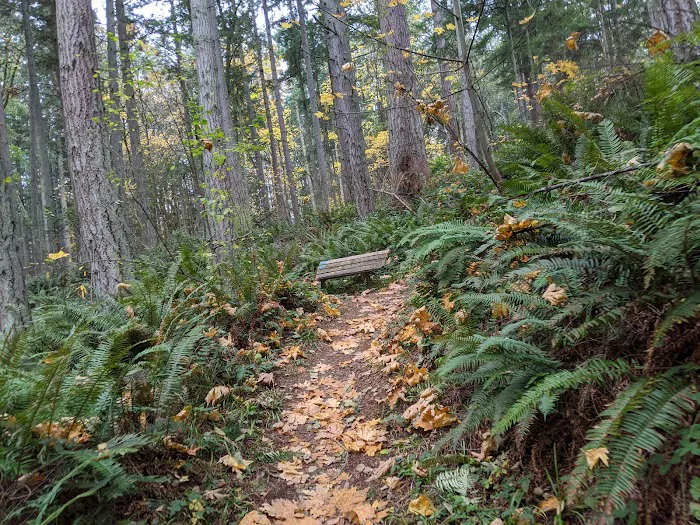 Camano Island State Park Marine Trail Campground Picture 10
