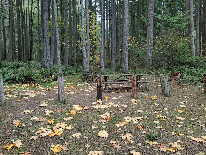 Camano Island State Park Marine Trail Campground Picture 8