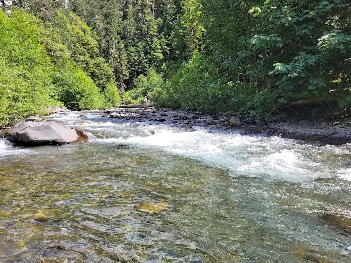 Camp Pleasant Picture 6