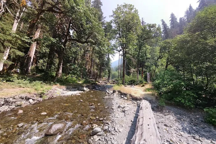 Camp Pleasant Picture 4
