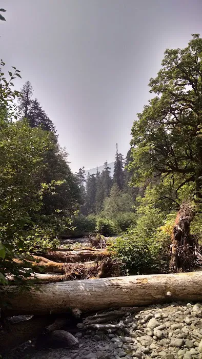 Camp Pleasant Picture 1