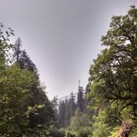 Camp Pleasant ico
