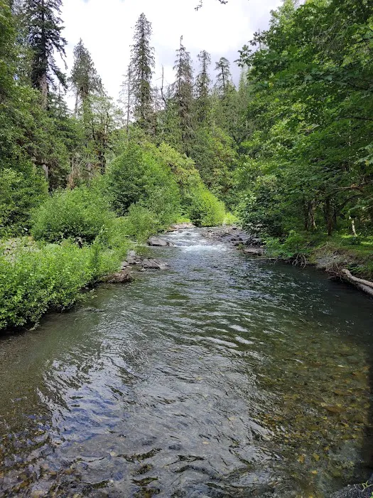 Camp Pleasant Picture 10